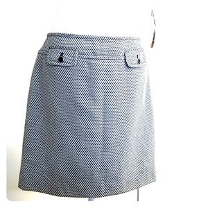 Ann Taylor Loft Skirt